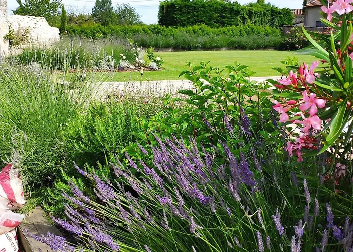 The Dovecote * Loubes-Bernac
